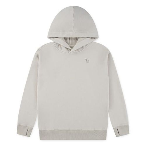 Abercrombie & Fitch hoodie  - pumice stone