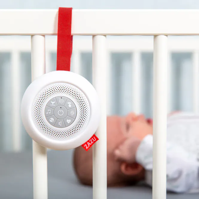 Hovedbilde Zazu Suzy the shusher