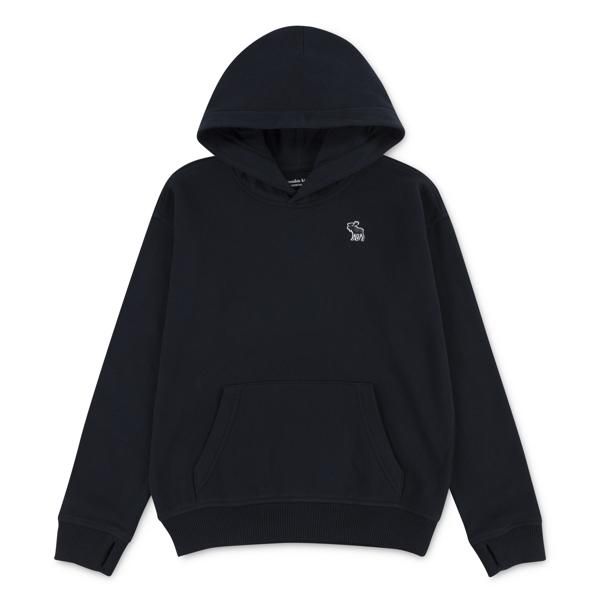Hovedbilde Abercrombie & Fitch hoodie  - anthracite
