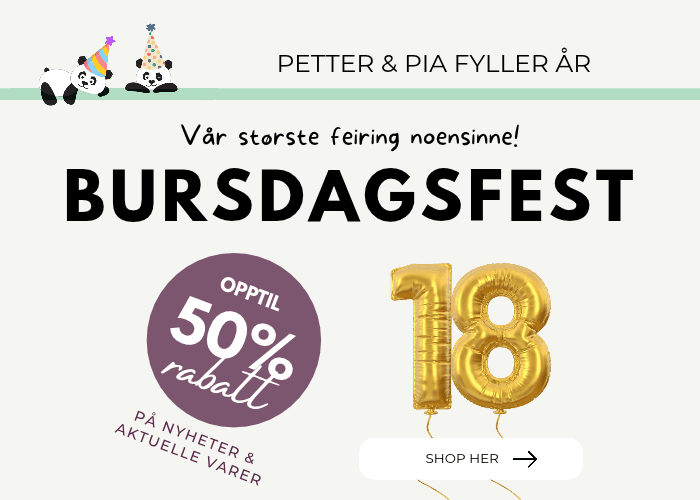 Bursdagsfest