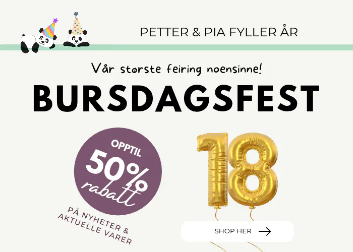 Bursdagsfest